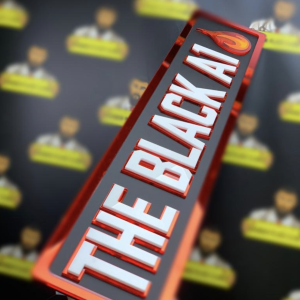 Custom Logo Number Plate