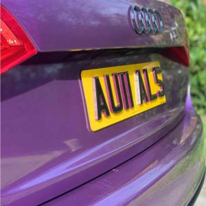 Midnight Purple x Gel Number Plate
