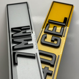 Double 4D x Gel x Boarder Number Plate