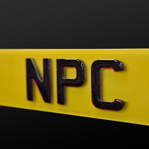 Red Neon 4D Number Plate