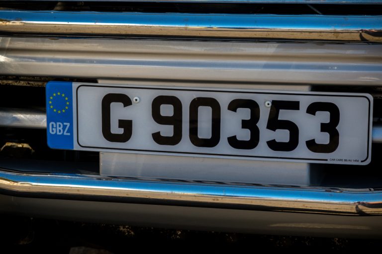 The History and Evolution of 3D Gel Number Plates
