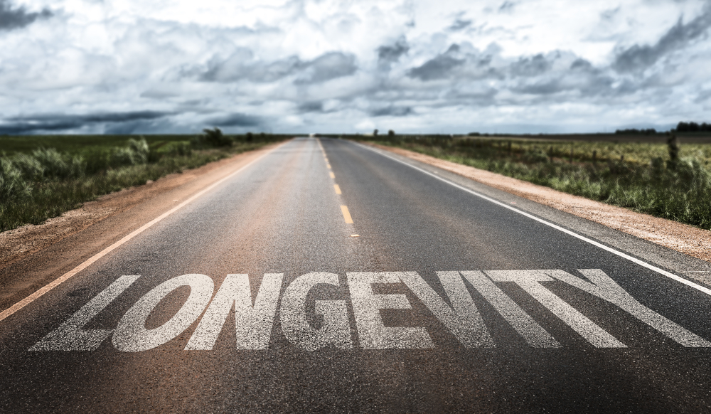 Cost vs Longevity: Are They Worth It?